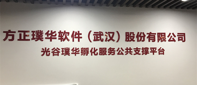走出課堂，走進(jìn)企業(yè)—藍(lán)鷗武漢學(xué)子赴方正璞華參觀學(xué)習(xí)